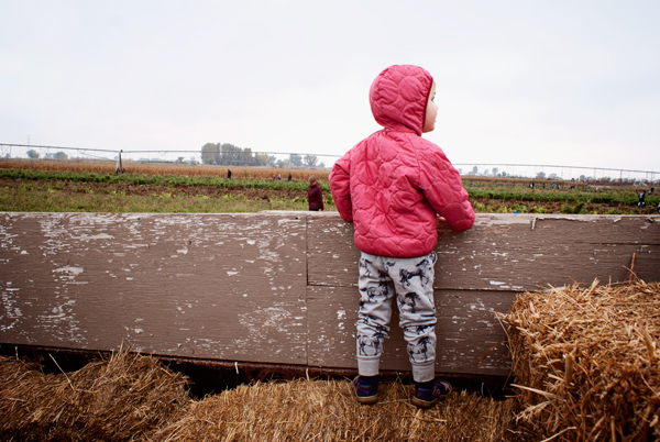 Checking out the fields from the hayride.